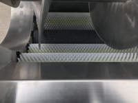 Nieuwe model commerciële automatische groentewas- en schilmachine, multifunctionele fruit- en groentereiniger/schilmachine
