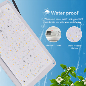 Lm301b lm301h EVO EVO lm301 100W <span class=keywords><strong>Ebay</strong></span> xem xét đầy đủ phổ bàn LED phát triển ánh sáng - Product Image 5