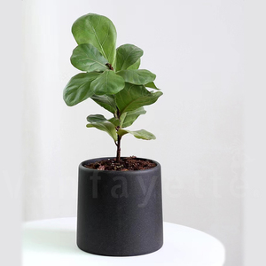 Vasi per Piante in Cemento Bianco e Nero Economici Cinesi, Vasi in Ceramica Dipinti per Fiori - Product Image 4