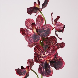 <span class=keywords><strong>Orquídea</strong></span> Vanda de Tacto Real, Flor Artificial de Tallo Único para Decoración de Hogar de Lujo, Diseño de Interiores, Accesorios de Fotografía de Bodas, Venta al por Mayor - Product Image 3