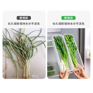 Refrigerator Food Storage <b>Containers</b> For Scallions Cilantro Green Onions Long Transparent Airtight <b>Plastic</b> With Seal <b>Lid</b> L Size - Product Image 1