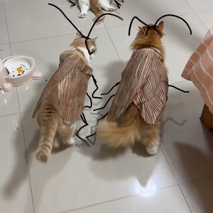 Vêtements pour animaux de compagnie, <span class=keywords><strong>chat</strong></span> mignon de dessin animé populaire, faits à la main, <span class=keywords><strong>DIY</strong></span>, pur amour, rayé, polyester, design cafard - Product Image 3
