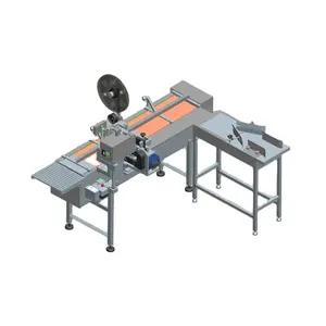 Automatic Bags Disposable Plastic Food Bags Roll Bread Bags Making Machine