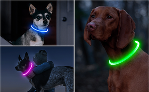 RGB Discolor Glowing Plastic <b>Dog</b> <b>Collar</b> <b>Large</b> Medium Usb Rechargeable Luminous Led Light Night Safety Pet Accessories - Product Image 6
