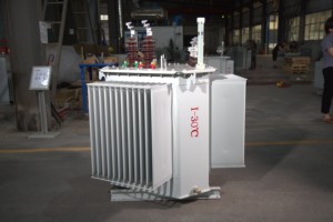 Transformateur de puissance triphasé à bain d'huile à faible perte Wanbo-100 50/60Hz 50-2500 KVA 10kV/20kV/36kV 400V Unité de distribution Dyn11 <span class=keywords><strong>ONA</strong></span> - Product Image 4