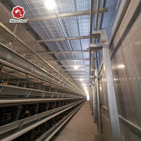 Cage à poules de type H, alimentation automatique, collecte des œufs, équipement d'élevage avicole