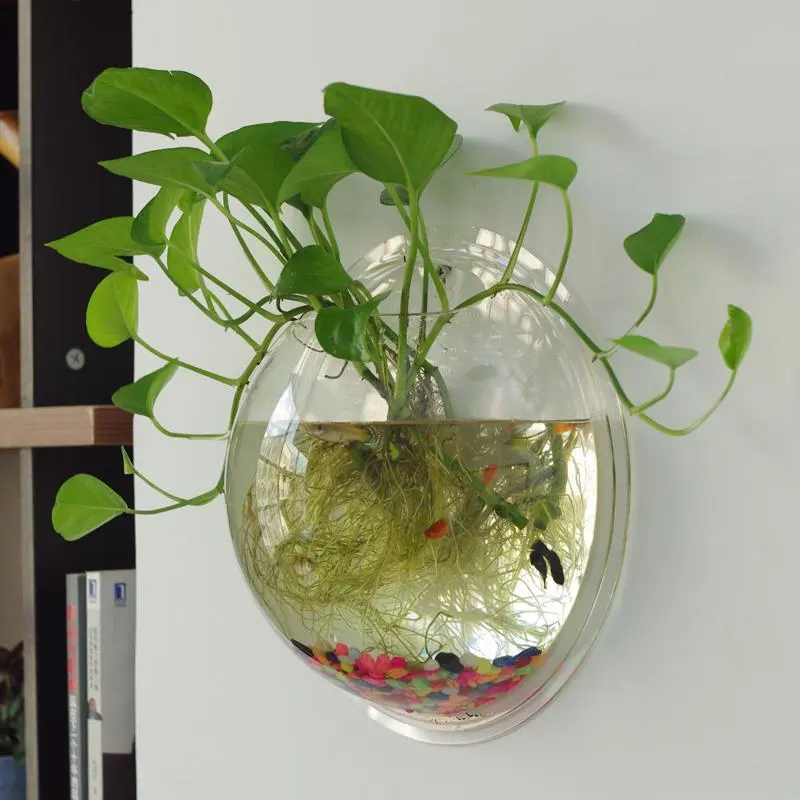 Бестселлер настенный акриловый аквариумный аквариум цветочный горшок для растений оптом из Китая