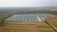 Nouvelle rideau de poulailler avec cadre pour l'apiculture, garantie 1 an, matériau PVC/PE