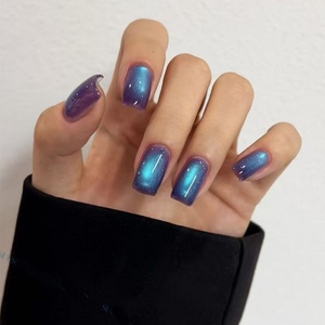 Factory Customized Wholesale Hot Selling 10 Color Sapphire cat Eye Series <b>Set</b> armor Oil Glue <b>Nail</b> Salon Exclusive - Product Image 5