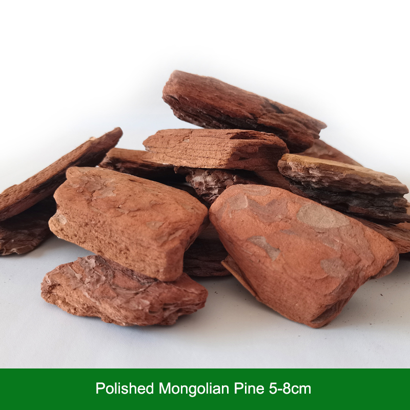 Pin mongol poli 5-8cm