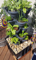 Solution de jardinage intérieur efficace et écologique Système hydroponique solaire double pour la maison avec jardinières