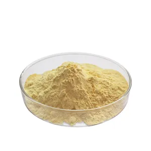 Fabricant OEM vente en gros extrait de racine de ginseng extrait naturel pur racine de ginseng