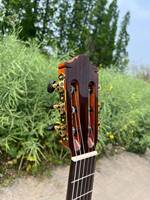 China Handcraft Made Aiersi Brand High End Grade Gloss Solid Cedar Top Indian Rosewood Vintage Nylon String Classical Guitar