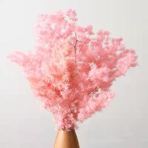 <span class=keywords><strong>Helechos</strong></span> de Ming al por Mayor, <span class=keywords><strong>Helechos</strong></span> Secos y Preservados de Myrioeladus para Bodas, Año Nuevo Chino, Ramos de Navidad, Decoración del Hogar - Product Image 1