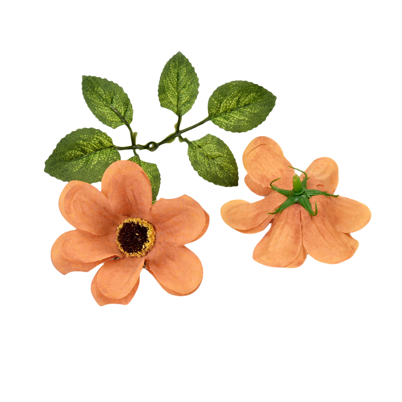 7 Orange