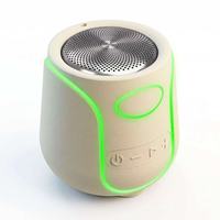 Enceinte Bluetooth Portable Mini Sans Fil 5W 1200mAh Rechargeable avec Basses Puissantes pour Fêtes en Extérieur et Musique à Domicile
