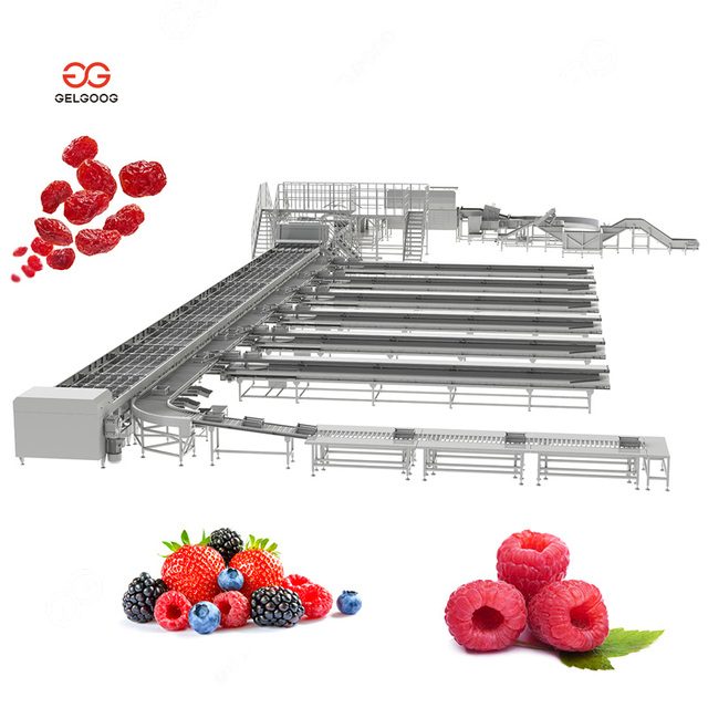New Berry Shape Fruit Blackberry Sort Line Cranberry Sorter Raspberry Grading Bilberry Sorting Machine