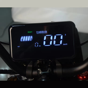La Mejor Bicicleta Eléctrica con Neumáticos Anchos, Incluyendo Bicicleta Eléctrica Urbana y Bicicleta Eléctrica Todoterreno de Fábrica SK-2, Bicicleta Eléctrica con Neumáticos Anchos - Product Image 2
