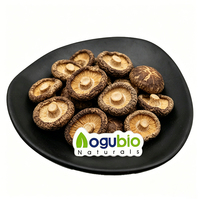 Jamur Shiitake Kering Premium Utuh dan Irisan, Jamur Shiitake Dehidrasi untuk Memasak Makanan