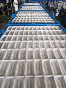 30 Ton Per 24h <strong>Automatic</strong> <strong>Block</strong> Ice <strong>Machine</strong> - Product Image 6