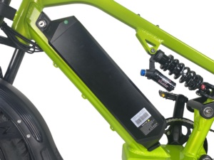 Bicicleta de Montaña Personalizada QUEENE de 20 Pulgadas con Neumáticos Gruesos, Motor Trasero de Aluminio con Suspensión Completa, 20Ah - Product Image 5
