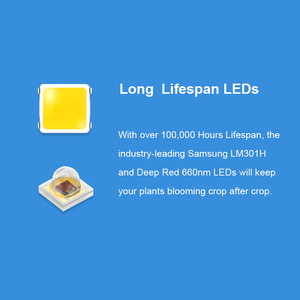 Đèn trồng cây LED chuyên nghiệp Boya 800W quang phổ toàn diện, giải pháp chiếu sáng dạng thanh LM281B Dialux EVO - Product Image 3