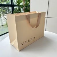 Sac en papier de luxe avec logo personnalisé Sac en papier d'emballage en papier pour emballage de cadeau boutique de vente au détail Sac en papier pour vêtements chaussures