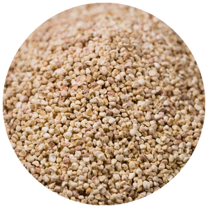 Mazorca de Maíz Premium Sin GMO Secada Naturalmente para Alimentación de Ganado, Biocombustible y Uso Agrícola, Empaque de Calidad de Exportación de 25 kg - Product Image 1