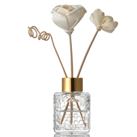 Flacon diffuseur de parfum en verre vide de 100 ml, finition mate givrée
