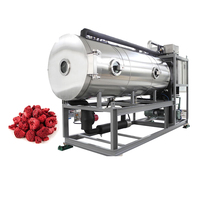 Commerciële vriesdrooginstallaties voor fruit en groenten, industriële machine met grote capaciteit