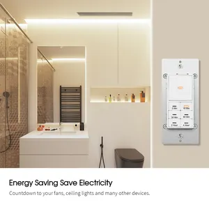 Wholesale Smart In-Wall WiFi Light Switch With 4 Hour Countdown Timer Time Switches For Appliances