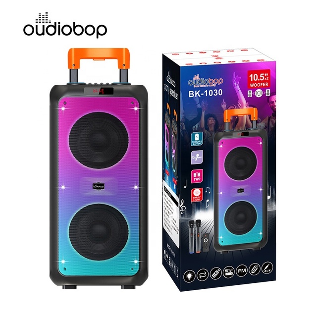 BK-1030 Dual 10 Inch Outdoor Portable Trolley Party Speaker With Dual Wireless Mics 40W Full RGB LED Audio System