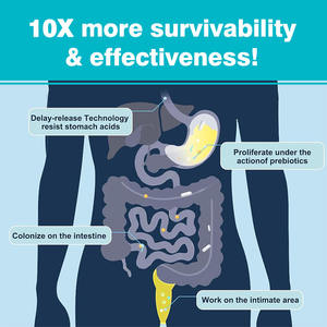 Oem Odm Capsules de Probiotiques pour Homme avec <span class=keywords><strong>Enzymes</strong></span> Saw Palmetto pour Soutien Digestif Santé Urinaire Immunitaire Boost Métabolisme - Product Image 4