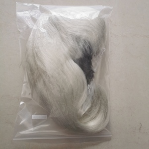 Tigre <span class=keywords><strong>re</strong></span> Joe esotiche triglie da uomo parrucche - Product Image 6
