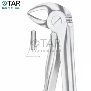 มะเดื่อ33L คีมถอนฟันขนาดต่างๆขายส่งราคาจำนวนมาก - Product Image 1