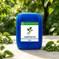 Extrait d'herbes 100% pur de camphre pressé à froid pour aromathérapie, massage corporel et soins corporels 25KG