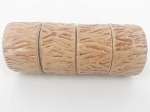 Modello anatomico del vaso sanguigno del modello del trombo dell'arterioso
