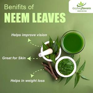 Hojas de Neem Secas al Sol de Primera Calidad, Antiséptico Herbal, Cultivadas Naturalmente en Sri Lanka - Product Image 4