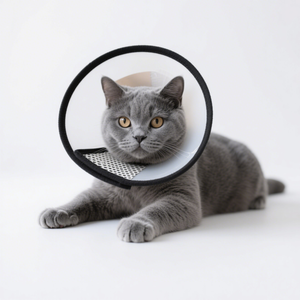 Collar Protector Anti-Lamido para Perros, Collar Ajustable para el Cuello, Collar Isabelino para Gatos y Perros - Product Image 4