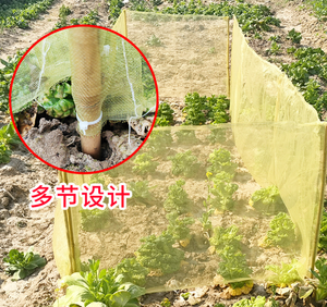 Malla Protectora <span class=keywords><strong>para</strong></span> Jardín, Anti-Insectos, <span class=keywords><strong>para</strong></span> Verduras, Frutas y Plantas, Protege de Pájaros e Insectos, Reutilizable y Transpirable - Product Image 6