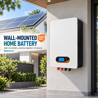 Batterie solaire LiFePO4 murale 10KWH 48V 100Ah 200Ah au prix d'usine pour stockage domestique
