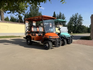 Golf Cart Elettrico Personalizzabile a 4 Posti con Elevata Capacità di Salita, Pneumatici All-Terrain per Campi da Golf - Product Image 6