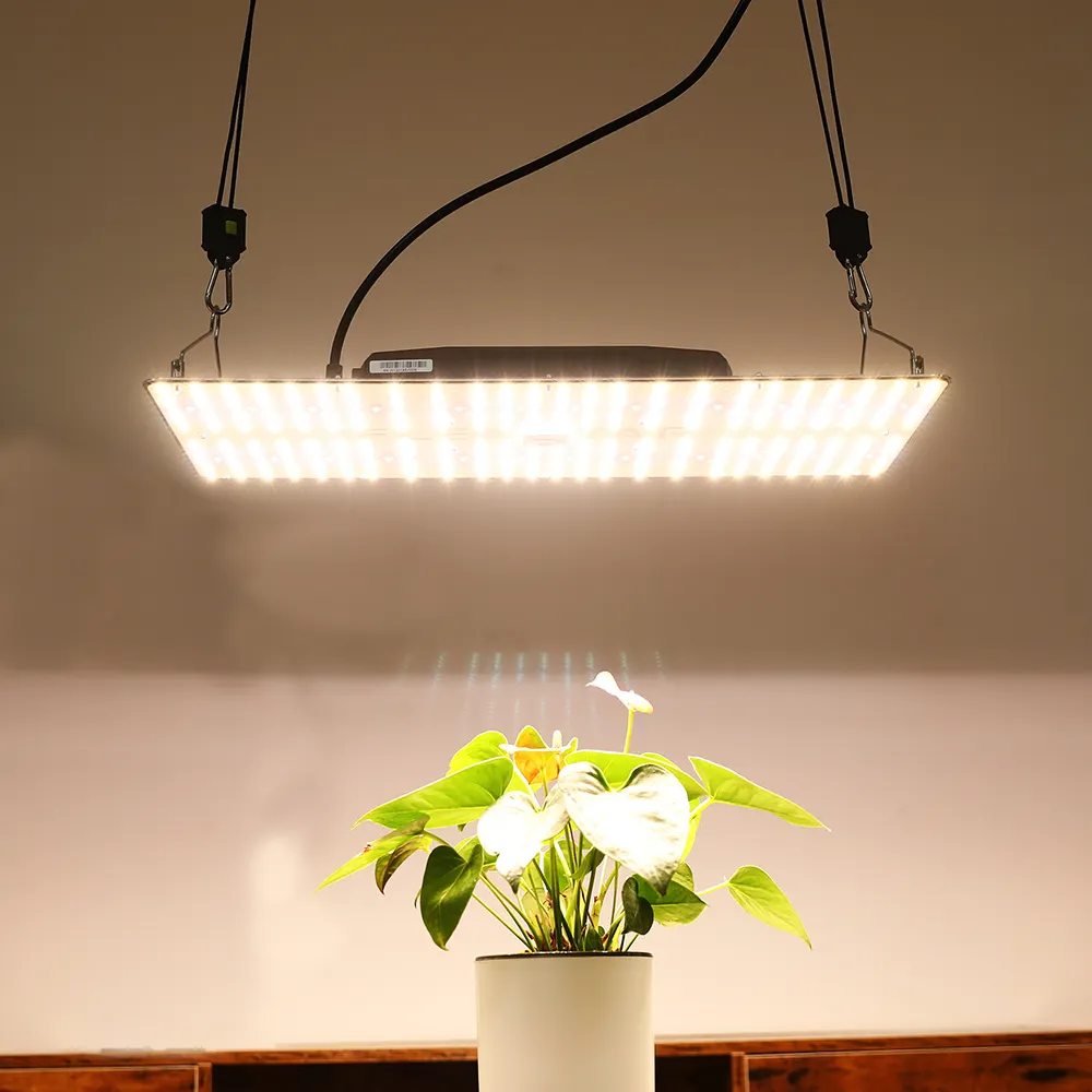 240W High PPFD Quantum Full Spectrum Led Grow Light For Indoor Plant Grow 120W 480W Custom