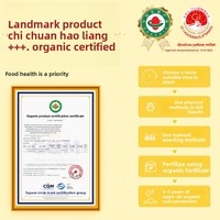 Millet jaune biologique de Qinzhou Chichuan 2,5 kg Récolte fraîche Millet authentique de qualité supérieure du Shanxi Durée de conservation de 365 jours Sac