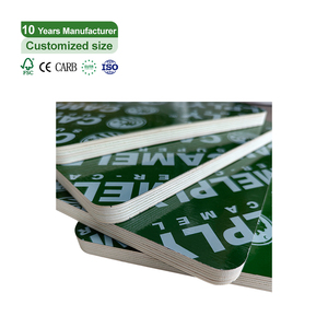 Proveedor de madera contrachapada con película de plástico <span class=keywords><strong>verde</strong></span> PP, madera contrachapada chapada/madera laminada/chapa de película <span class=keywords><strong>verde</strong></span> para encofrado de edificios marinos - Product Image 3
