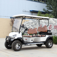 Voiturette de golf électrique personnalisée Street Legal