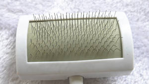 シンプルな人気のプラスチックペットの髪の櫛 - Product Image 5