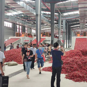 Ligne de production de découpe, lavage et séchage de tiges de piment, capacité 500 kg/h, machine de séchage de piment rouge et de piment fort - Product Image 2