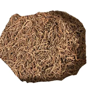 Zhu Ye Fang feng original herb dried Sesli mairei root for sale