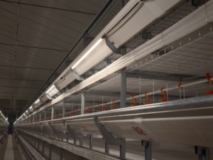 ไฟ <span class=keywords><strong>LED</strong></span> แบบกันน้ำ IP65 ขนาด 10w 18w 24w <span class=keywords><strong>หลอด</strong></span> <span class=keywords><strong>T8</strong></span> <span class=keywords><strong>LED</strong></span> แบบกันน้ำ  โคมไฟแบบกันน้ำชนิดเส้นตรง - Product Image 3